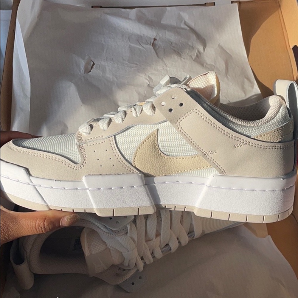 Nike Dunk Low Disrupt